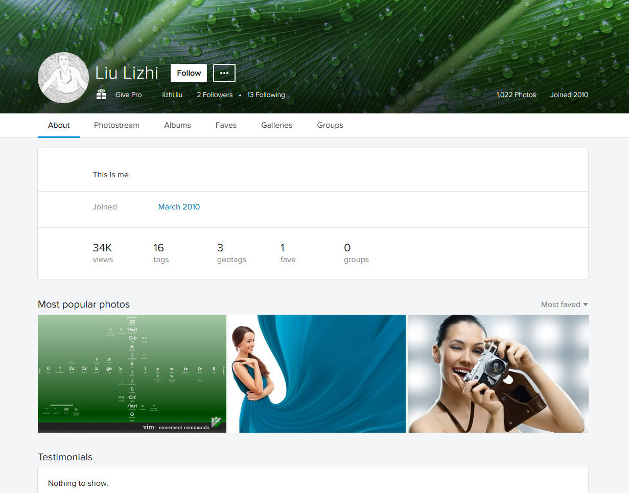 Screenshot of Liu Lizhi's Flickr account "About" page