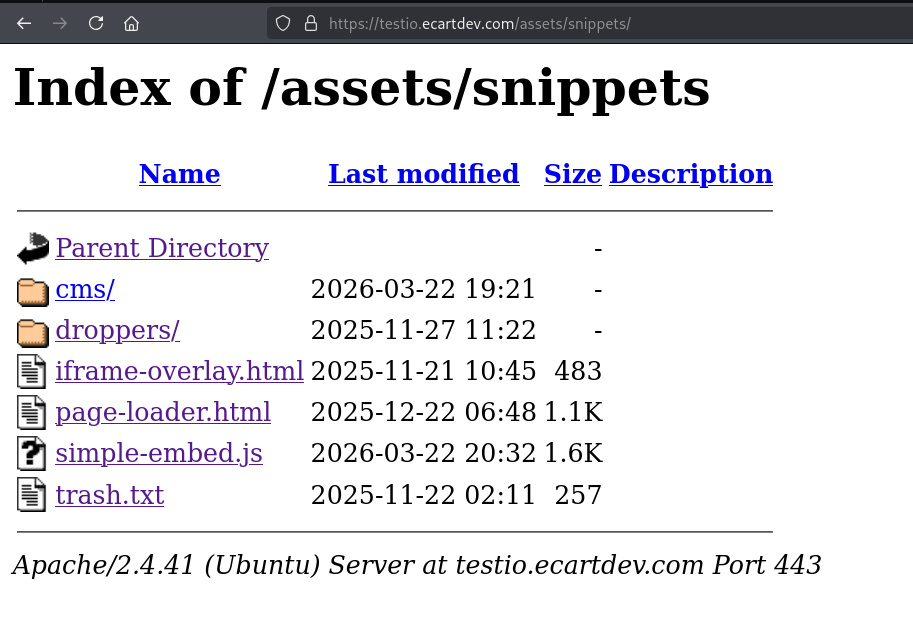 Screenshot of assets/snippets path, fig. 27