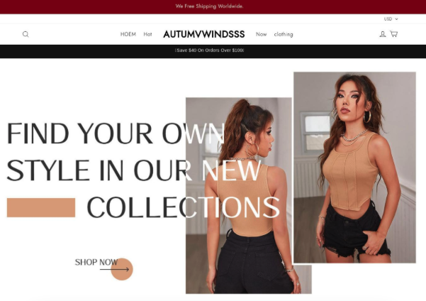 Retail scam site
