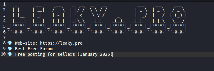 The site leaky[.]pro was advertised within the logs