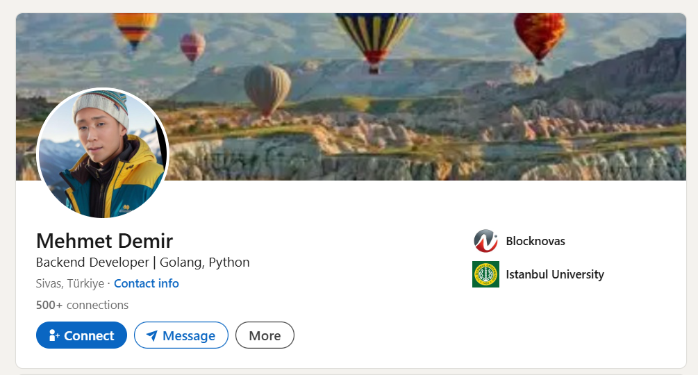 Suspected fake persona: Mehmet Demir hxxps://linkedin[.]com/in/mehmet-demir-godev Backend Developer | Golang, Python.