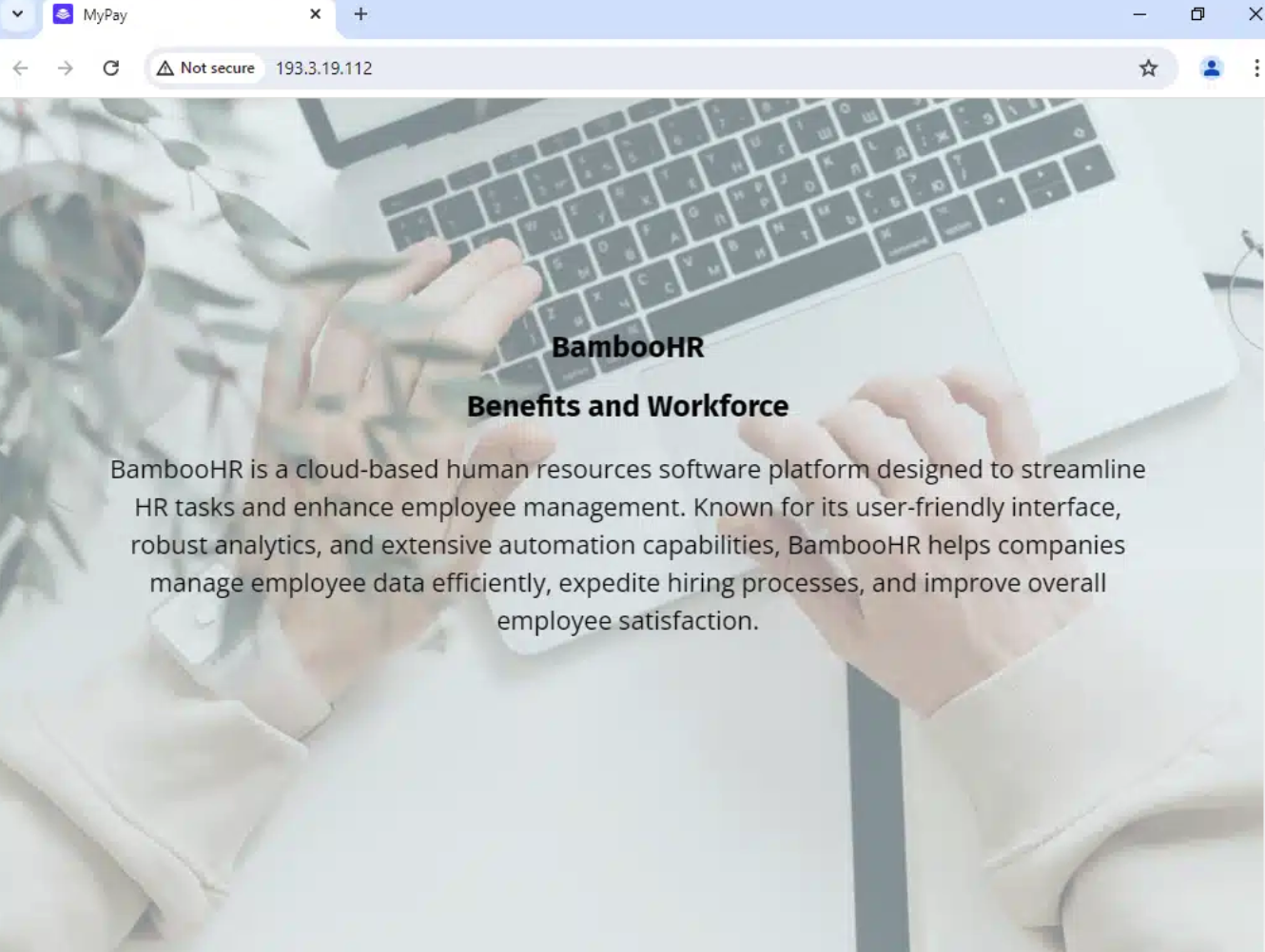 Phishing page targeting BambooHR